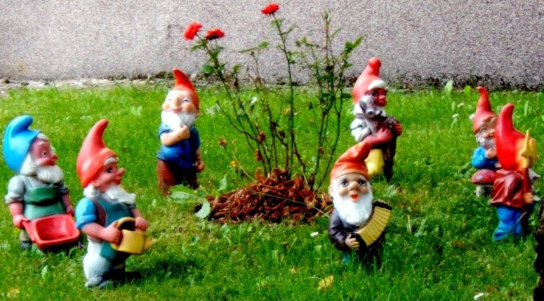 Seven garden gnomes